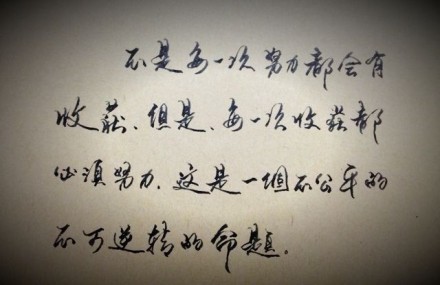不是每一次努力都会有收获'但是'每一次收获都必须努力'这是一个不