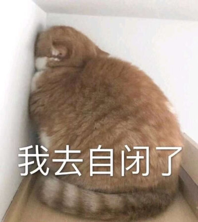我已自闭表情包