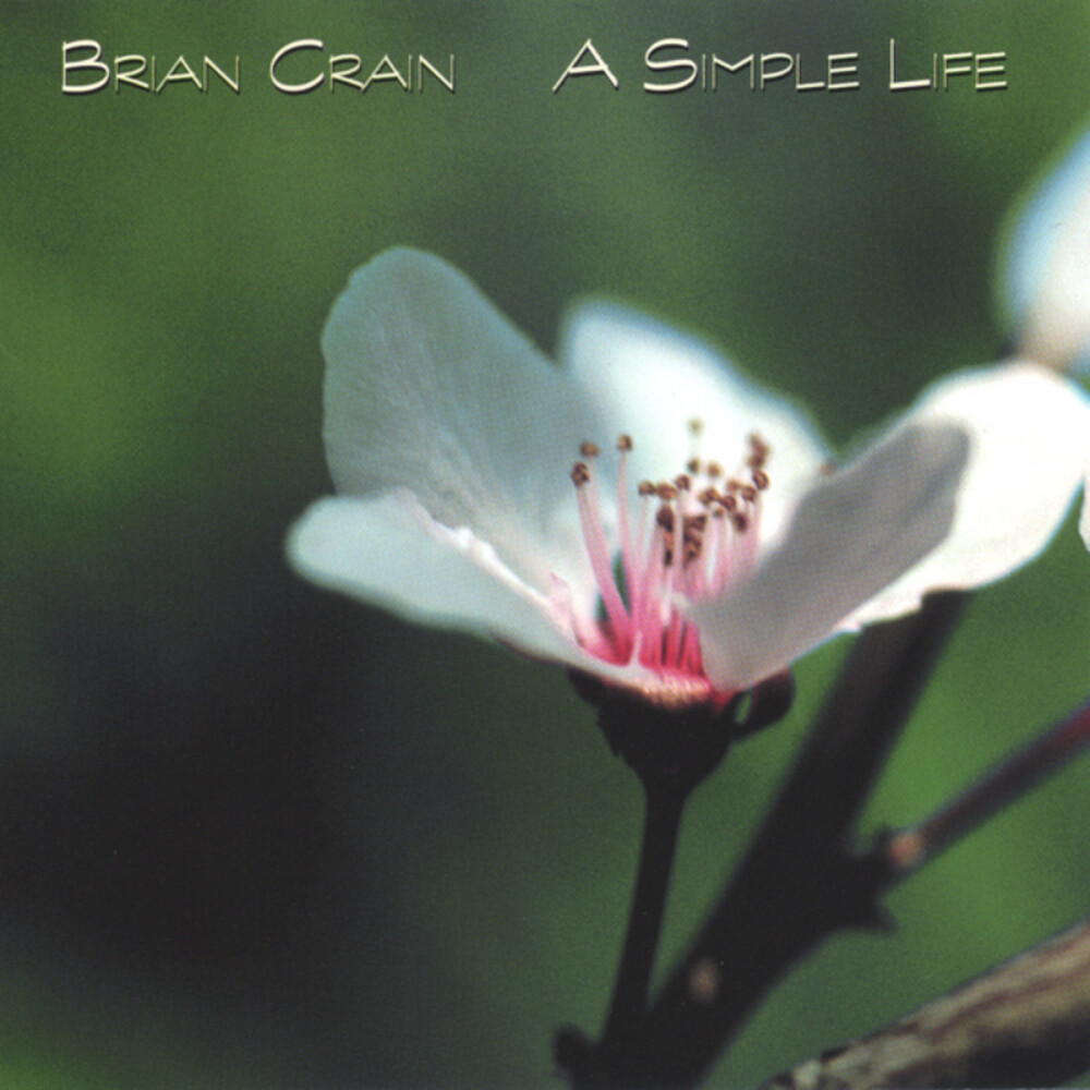 A Simple Life - Brian Crain | 春暖花开，人生明净。[应用内点链接可收听]