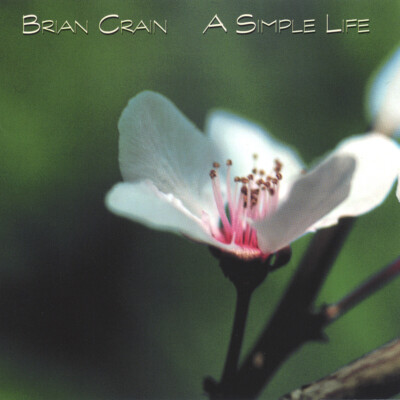 A Simple Life - Brian Crain | 春暖花开，人生明净。[应用内点链接可收听]