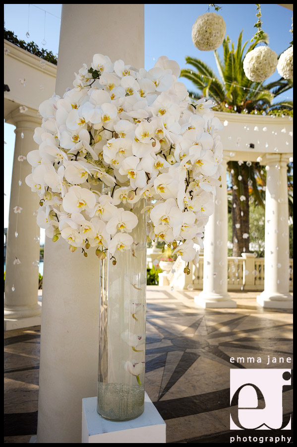 phalenopsis orchids st regis monarch beach wedding flowers