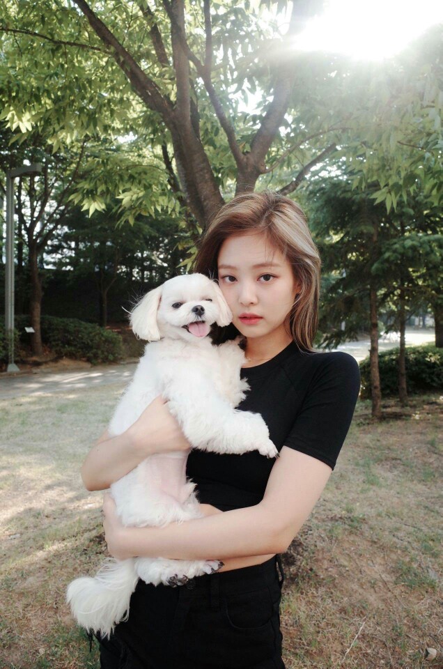 blackpink金智妮jennie