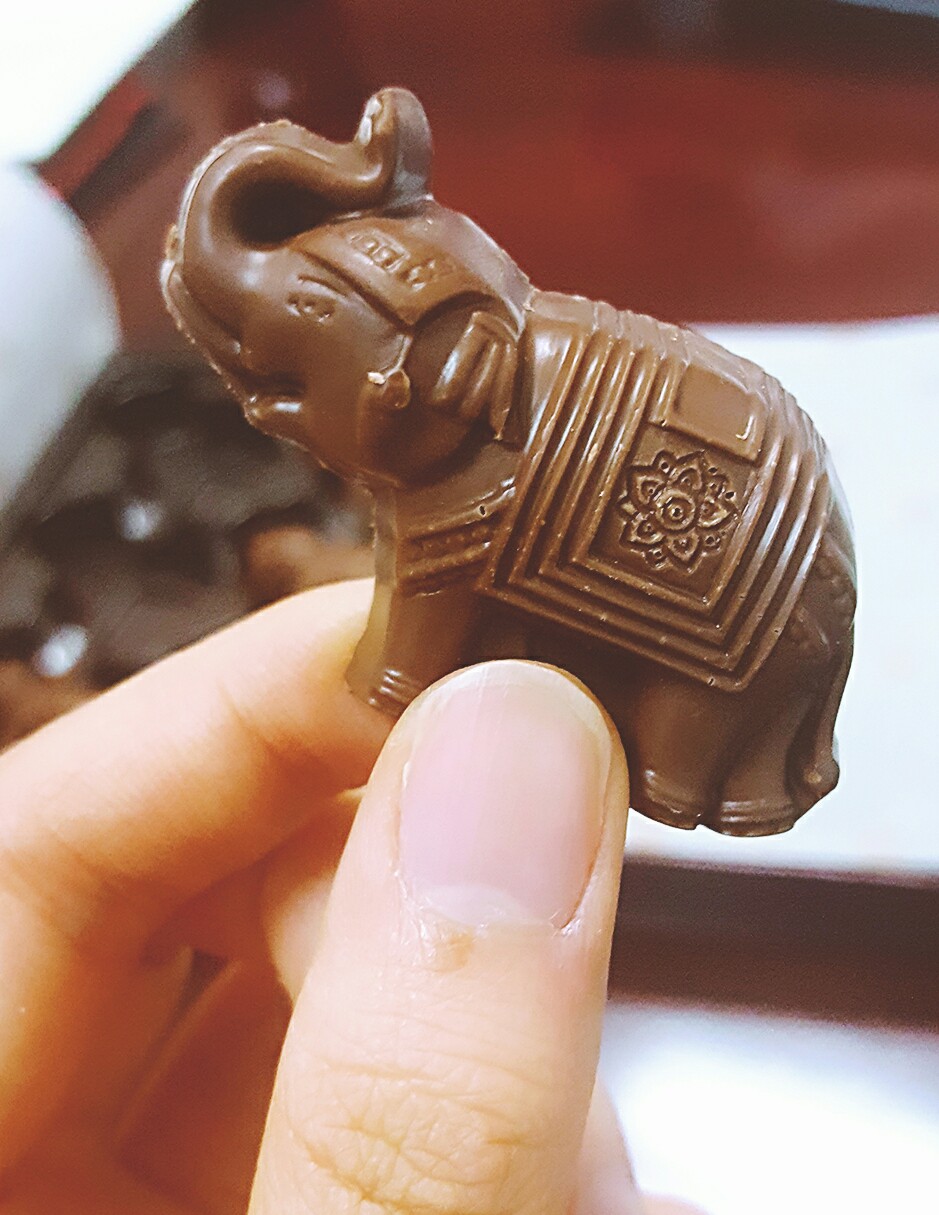 大象巧克力