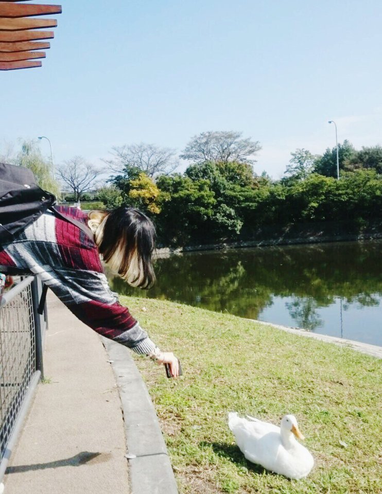 まじ娘majiko