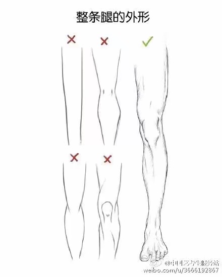 腿膝盖结构技法临摹素描