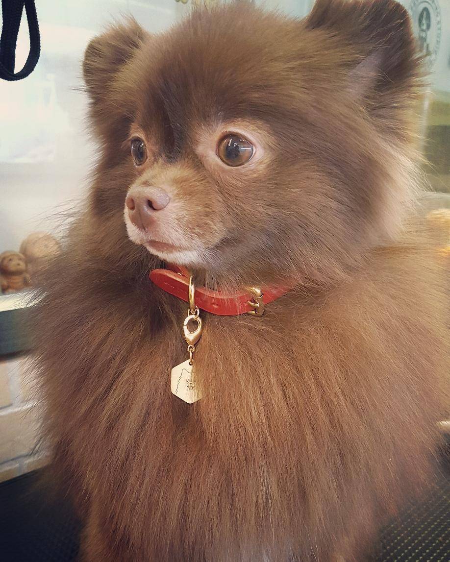 kuma - 堆糖,美图壁纸兴趣社区