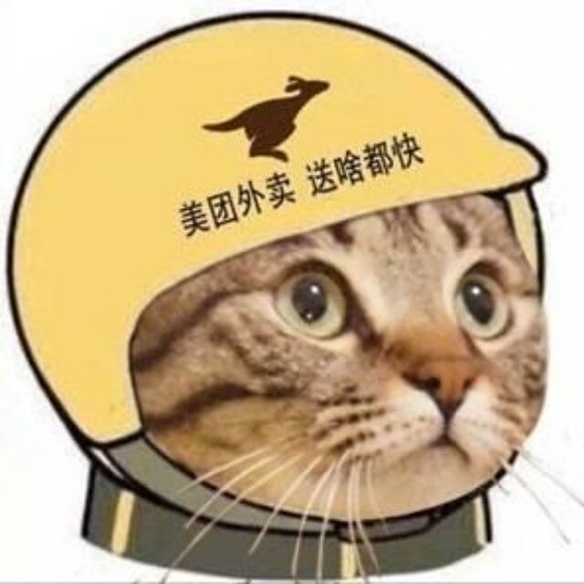 组织头像社会人头像头盔头像猫