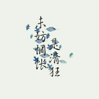 二次元nbspnbsp金瞳nbspnbsp少女