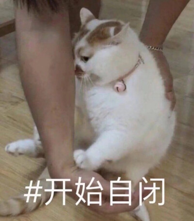 我已自闭表情包