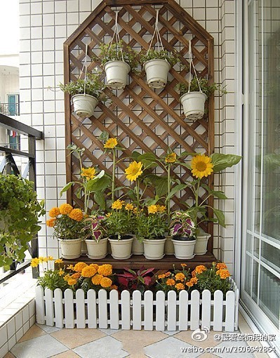 如果你也爱向日葵，阳台可以考虑这么设计哦