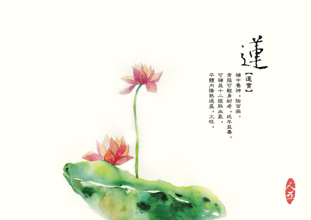 莲作者人五手绘中国风