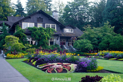 多肉植物在大型园艺下的应用（尤其是石莲属），来自加拿大温哥华Stanely Park，是加拿大最大的城市公园。