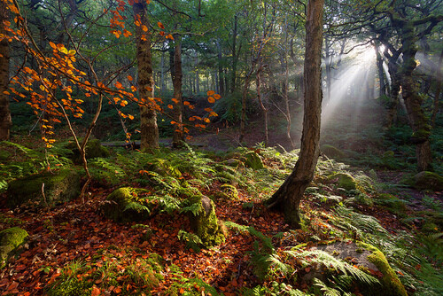 Yarncliff Rays by Paul Newcombe on Flickr.