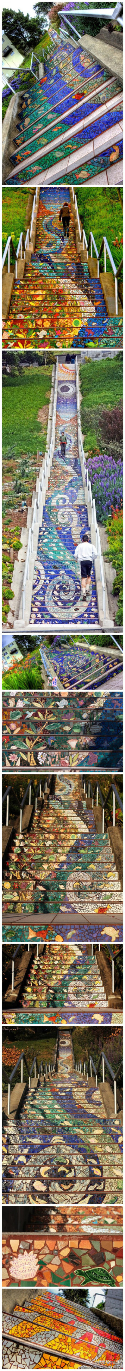 【马赛克楼梯】位于旧金山第16大道的交叉点，163级台阶共用75000个瓷砖碎片，镜子，彩色玻璃组成，描绘了一个从太阳到海底的梦幻世界，被誉为世界上最美的楼梯，想走在这样的楼梯上吗？