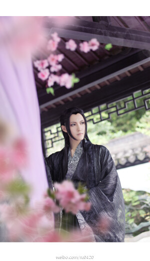 「三生三世十里桃花」「夜华」