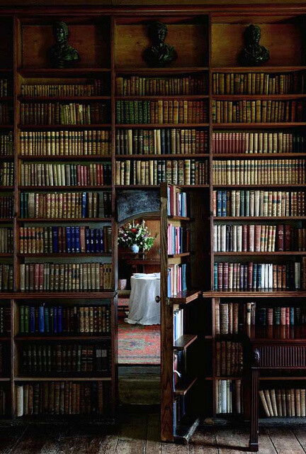 书架充当一面墙，知识渊博的主人