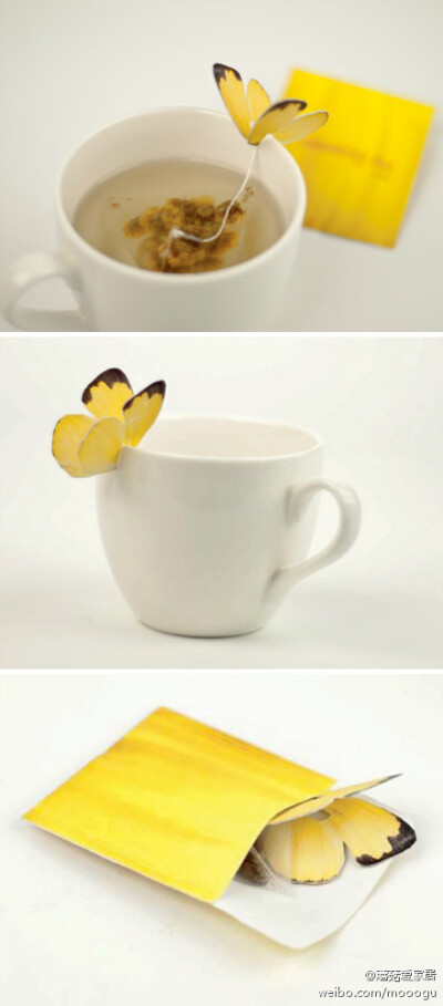 蝴蝶茶包。