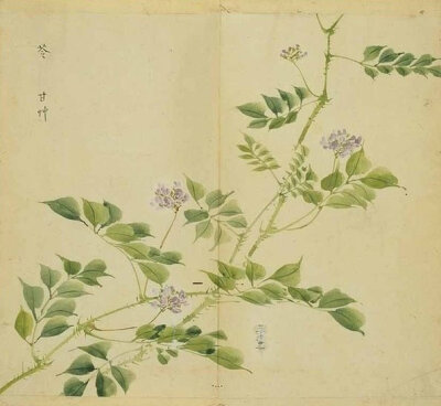 诗经名物图解
