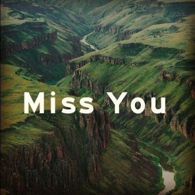 miss you