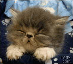 zzzzzzzzzzzzz - 堆糖,美图壁纸兴趣社区