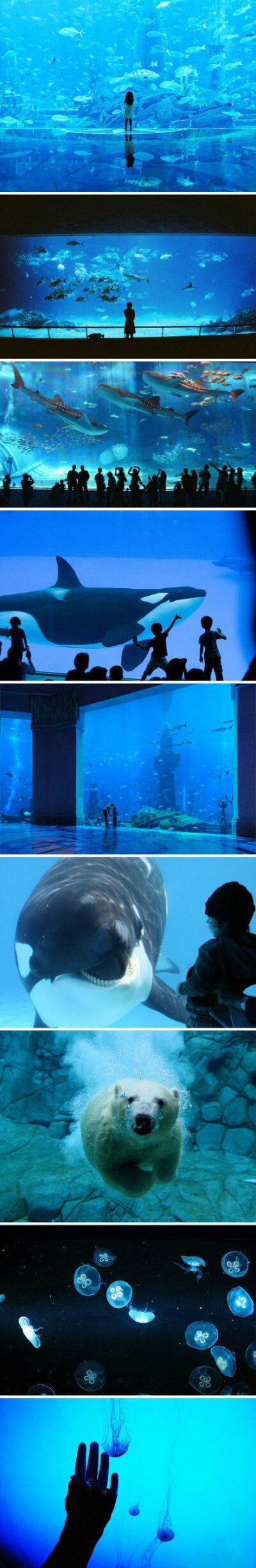 治愈图、 水族馆治愈之海