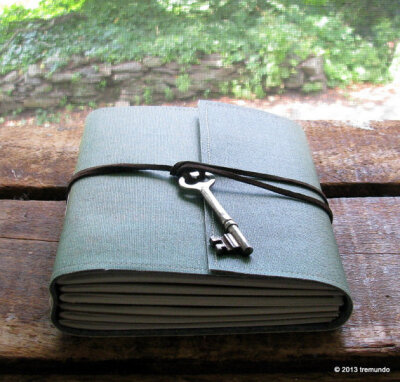 dirty little secrets tri fold journal by BlueToad Journals of Tremundo