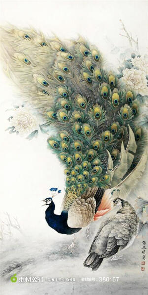 国画奔跑的孔雀