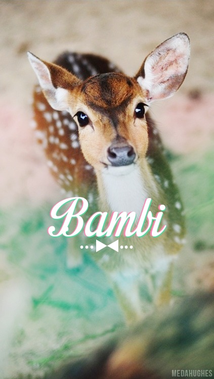 bambi