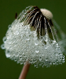 青春是一场大雨，&amp;br&amp;即使感冒了，&amp;br&amp;…