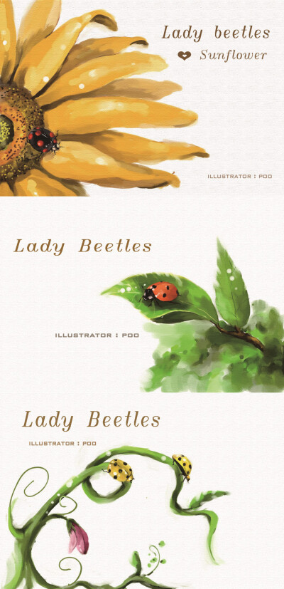 Lady Beetles Nunki原创手绘插画明信片