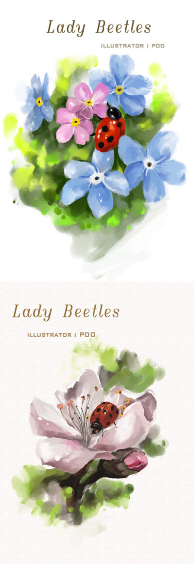 Lady Beetles Nunki原创手绘插画明信片