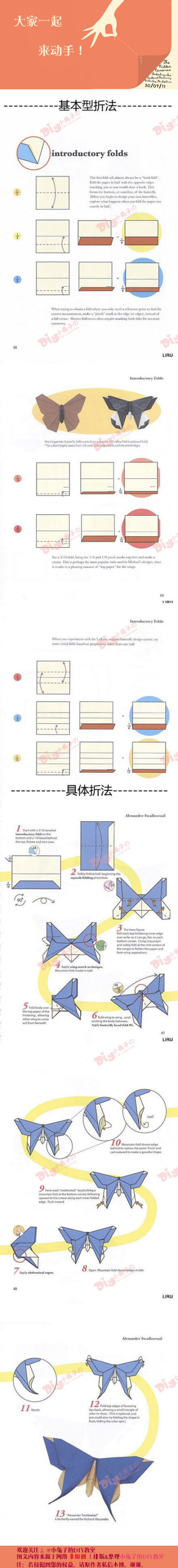 亚历山大燕尾蝶折纸教程