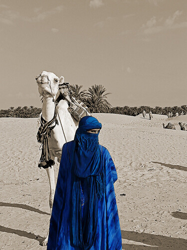 recadosdatenda: Tuareg - Os homens azuis do Sahara. Fotografia simplesmente maravilhosa!!!