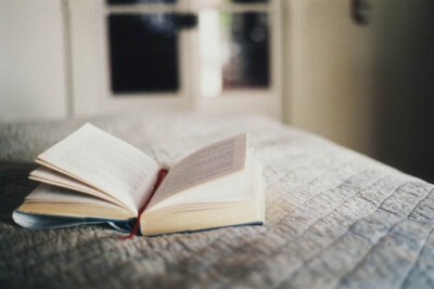 日记里的合影照