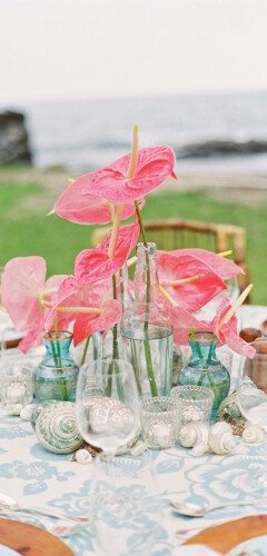 beach,decor,flowers,pink,reception,delicate,dinner,Kailua-Kona,Hawaii