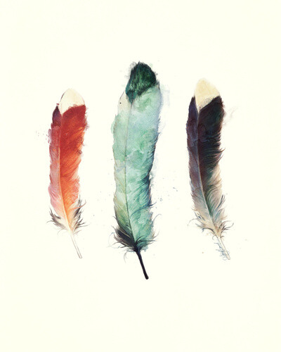 Feathers