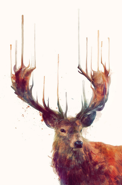 Red Deer