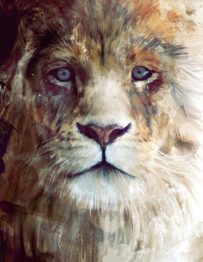 Lion // Majesty