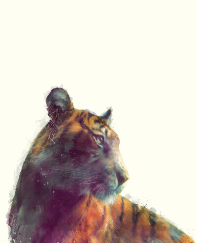 Tiger // Solace