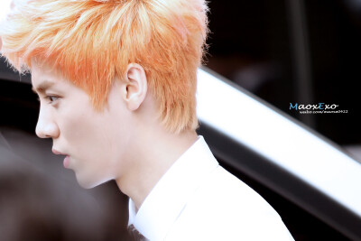 鹿晗 luhan exo