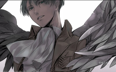 进击的巨人壁纸,第64张图片