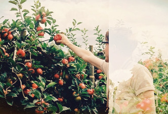 在已远去的故事中不肯醒来