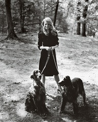 {Gwyneth Paltrow lovely as always} beautiful photograph with Irish Setters