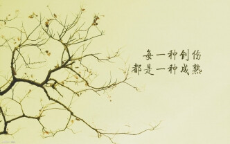 我想给你们讲一个故事