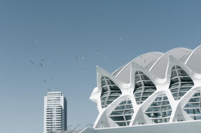 巴伦西亚科学城 CITY OF ARTS AND SCIENCES BY SANTIAGO CALATRAVA