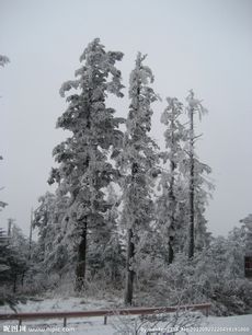 峨眉山雪景图片