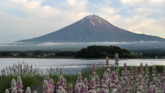 从东京乘公交两小时即可到达富士山脚下。几个世纪以来，富士山一直被大和民族尊为圣山，并出现在诸多艺术作品中。