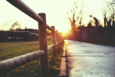 去年今日此门中。