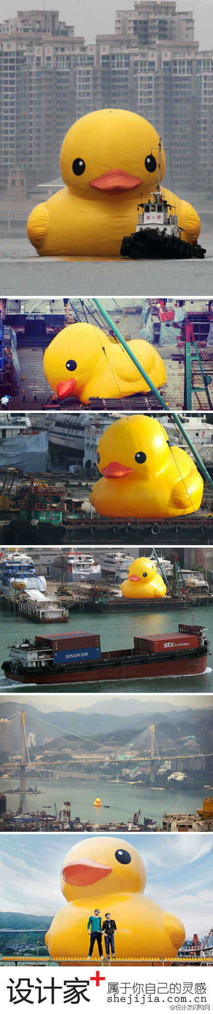 #设计家新鲜报#【Rubber Duck 来香港了！】5月2日，Rubber Duck 驶入香港维多利亚港。5月2日到6月9日，这只大家伙将在香港作短暂停留，大家还不赶快去围观！