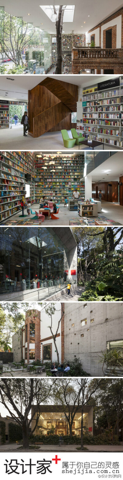 #设计家悦旅行#墨西哥幸福树林图书馆，打造出入森林般的原始知识库。